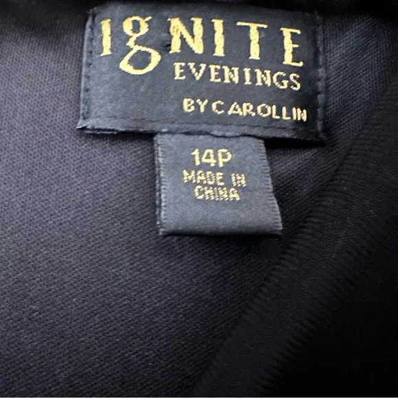 Ignite Evenings Black and Gray Embroidered Midi Dress, 14P - Picture 11 of 13